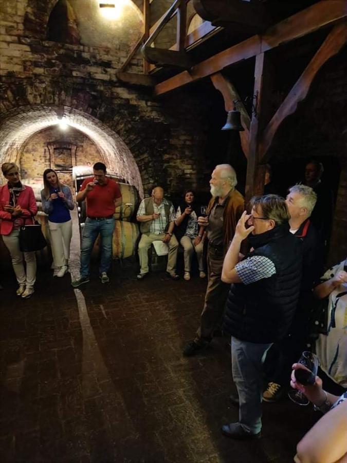 Polgar Panzio Bed & Breakfast Villány Dış mekan fotoğraf